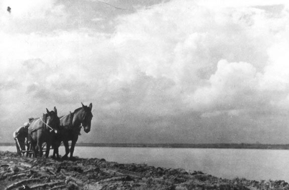 The River & The Fight for Life
