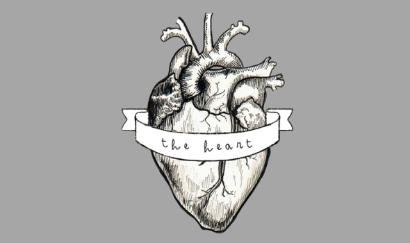 The Heart logo